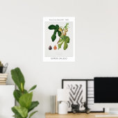 Afbeelding,  Poster van botanische illustratie (Thuiskantoor)