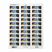 afbeelding-public-domain-15 PIRATE TREASURE CAVE O Etiket (Full Sheet)