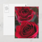 Afbeelding rode rozen briefkaart (Voorkant / Achterkant)