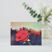 Afbeelding rode rozenbloem briefkaart (Staand voorkant)