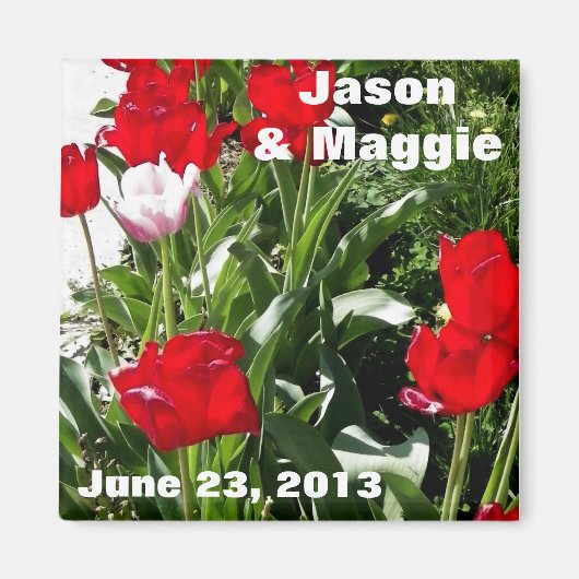 Afbeelding Rode Tulpen sparen de Datum Magneet (Voorkant)