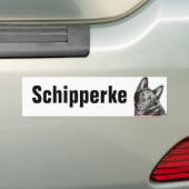 Afbeelding Schipperke Bumpersticker (Op auto)