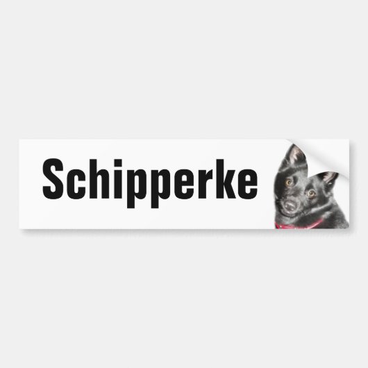 Afbeelding Schipperke Bumpersticker (Voorkant)