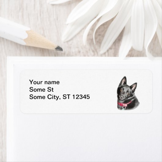 Afbeelding Schipperke Etiket (Insitu)