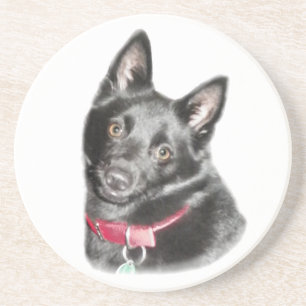 Afbeelding Schipperke Zandsteen Onderzetter