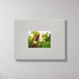 Afbeelding Slot Country Canvas