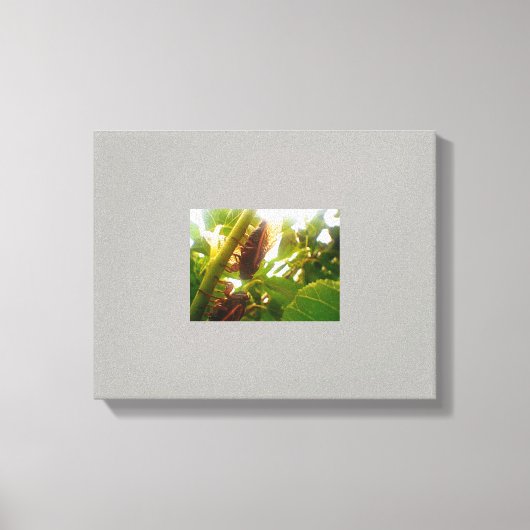 Afbeelding Slot Country Canvas (Voorkant)