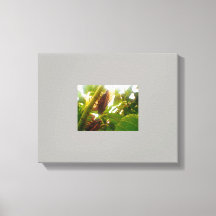 Afbeelding Slot Country Canvas