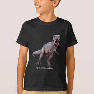 Afbeelding t-Rex voor de T-shirt van de Jongen