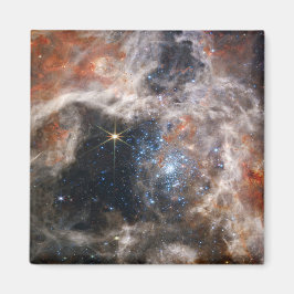 Afbeelding Tarantula Nebula van JWST Magneet