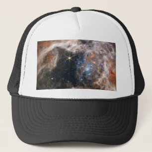 Afbeelding Tarantula Nebula van JWST Trucker Pet