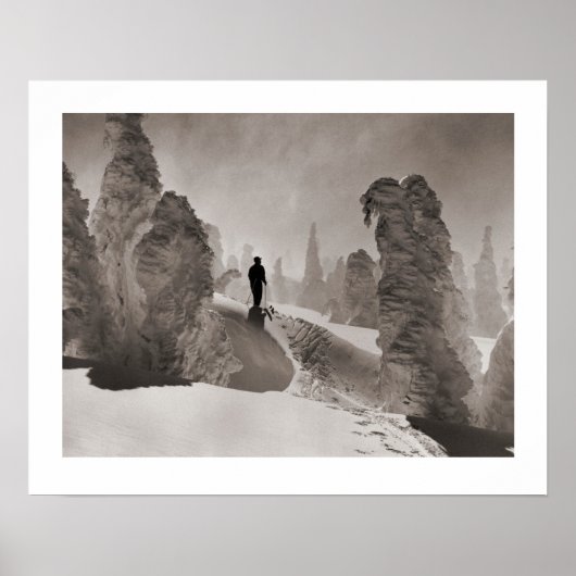  afbeelding, Trail door het bos Poster (Voorkant)