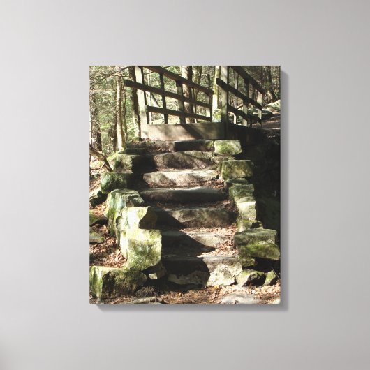 Afbeelding trappen in de bossen canvas afdruk (Voorkant)