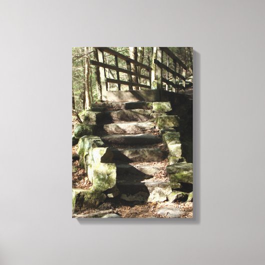 Afbeelding trappen in de bossen canvas afdruk (Voorkant)