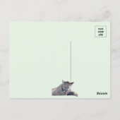 Afbeelding van 11 maanden oud Cougar Cubs Briefkaa Briefkaart (Achterkant)