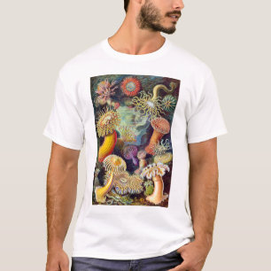 Afbeelding van Actiniae Germa Ernst Haeckel T-shirt