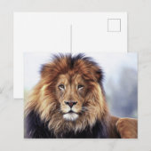 Afbeelding van Afrikaanse mannetjesolie Briefkaart (Voorkant / Achterkant)