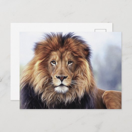 Afbeelding van Afrikaanse mannetjesolie Briefkaart (Voorkant / Achterkant)