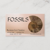 Afbeelding van Ammones Fossil Visitekaartje (Voorkant)