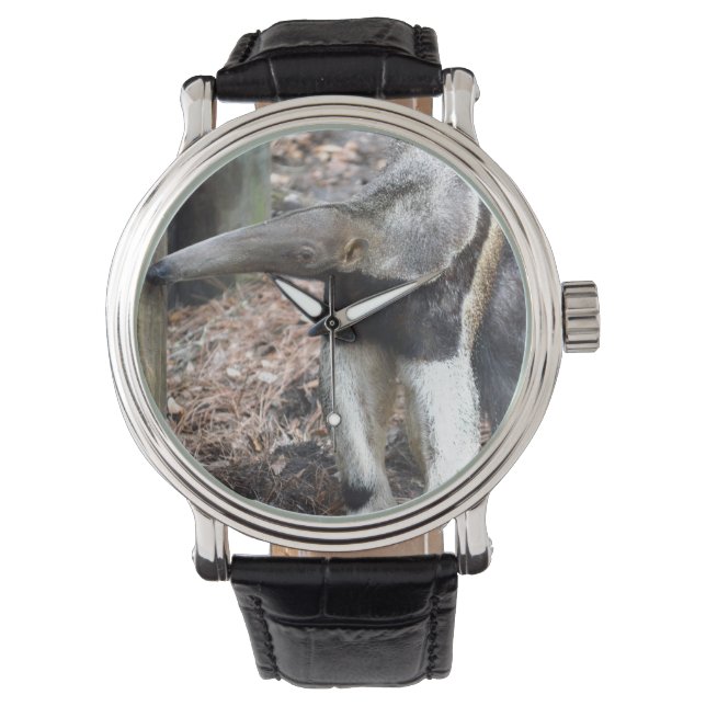 afbeelding van anteaterneushoorn met verhoogd wild horloge (Voorkant)