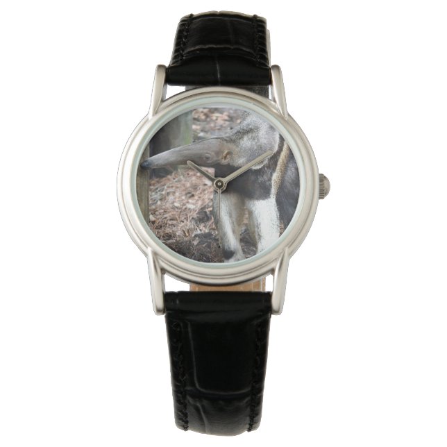 afbeelding van anteaterneushoorn met verhoogd wild horloge (Voorkant)