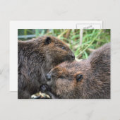 Afbeelding van Beavers Grooming Briefkaart (Voorkant / Achterkant)