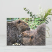 Afbeelding van Beavers Grooming Kaart (Staand voorkant)