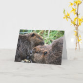 Afbeelding van Beavers Grooming Kaart (Gele Bloem)