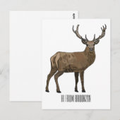 Afbeelding van cartoon van de Deer Briefkaart (Voorkant / Achterkant)