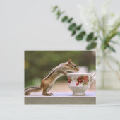 Afbeelding van Chipmunk met China Teacup Briefkaart (Staand voorkant)