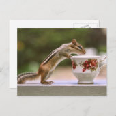 Afbeelding van Chipmunk met China Teacup Briefkaart (Voorkant / Achterkant)