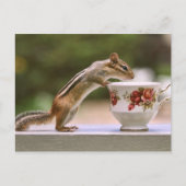 Afbeelding van Chipmunk met China Teacup Briefkaart (Voorkant)