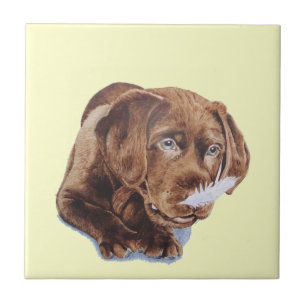 afbeelding van chocoladebruine labrador puppy grap tegeltje