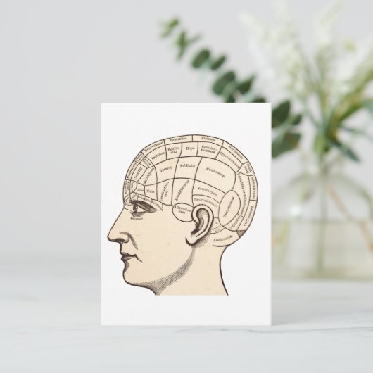 Afbeelding van de Anatomie Brain Map Briefkaart (Staand voorkant)