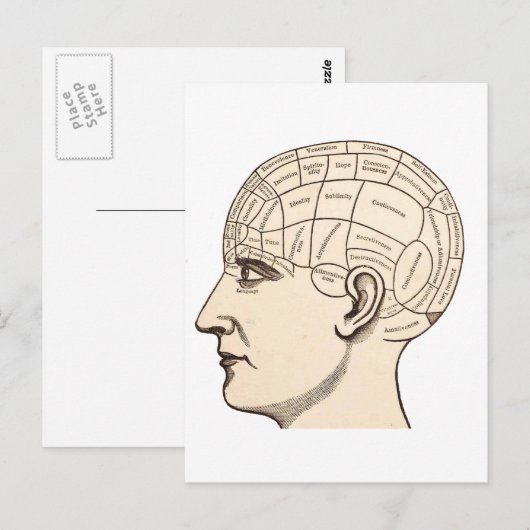  Afbeelding van de Anatomie Brain Map Briefkaart (Voorkant / Achterkant)