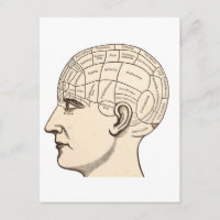 Afbeelding van de Anatomie Brain Map