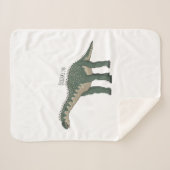 Afbeelding van de Barapasaurus-cartoon Sherpa Deken (Voorkant (horizontaal))