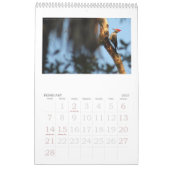 afbeelding van de berglades , florida kalender (Feb 2027)