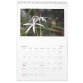 afbeelding van de berglades , florida kalender (Mar 2027)