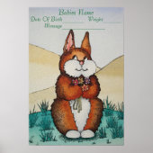 afbeelding van de bruine bunny nieuwe babyinformat poster (Voorkant)