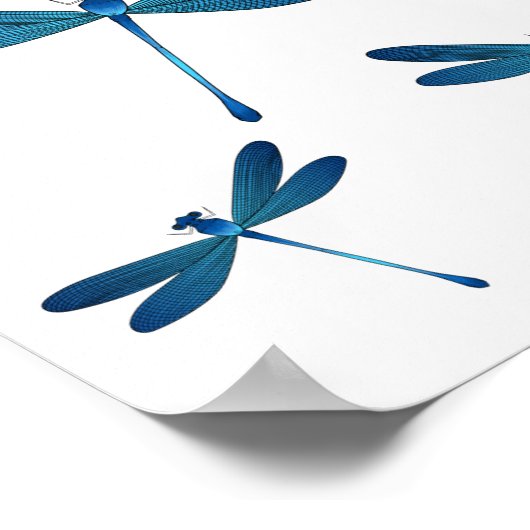 Afbeelding van de cartoon Dragonfly Poster (Hoek)