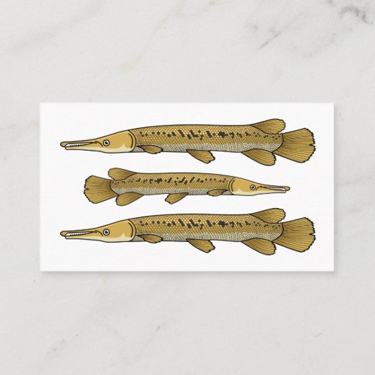 Afbeelding van de cartoon van Alligator garfish Visitekaartje (Achterkant)