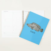 Afbeelding van de cartoon van de Humpback grouper Planner (Display)