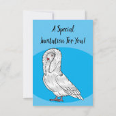 Afbeelding van de cartoon van de Jacobijnduivendui Kaart (Achterkant)