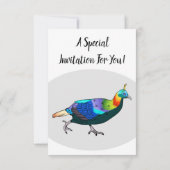 Afbeelding van de cartoon van de monale vogel uit kaart (Achterkant)