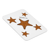 Afbeelding van de cartoon van de Starfish Magneet (Rechterzijde)