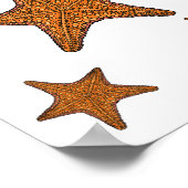 Afbeelding van de cartoon van de Starfish Poster (Hoek)