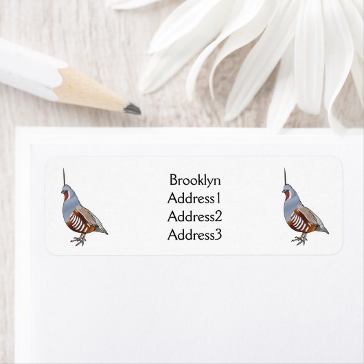 Afbeelding van de cartoon van gebergte kwartelvoge etiket (Insitu)