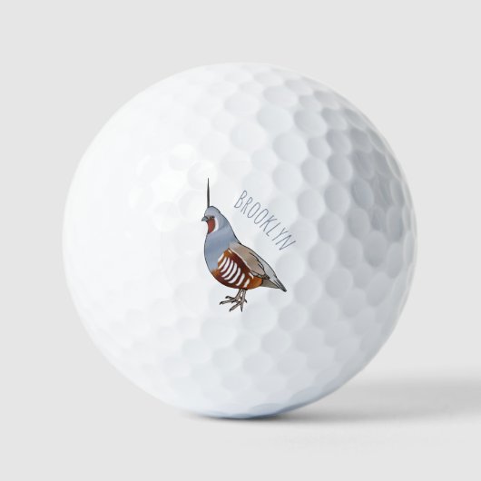 Afbeelding van de cartoon van gebergte kwartelvoge golfballen (Voorkant)