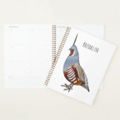Afbeelding van de cartoon van gebergte kwartelvoge planner (Display)